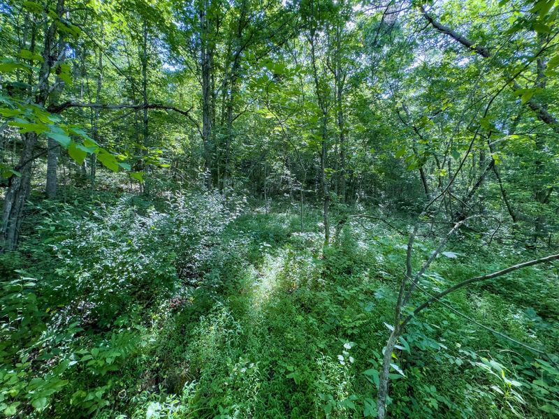 0 Jake Road , Patriot, OH 45658 Photo 8