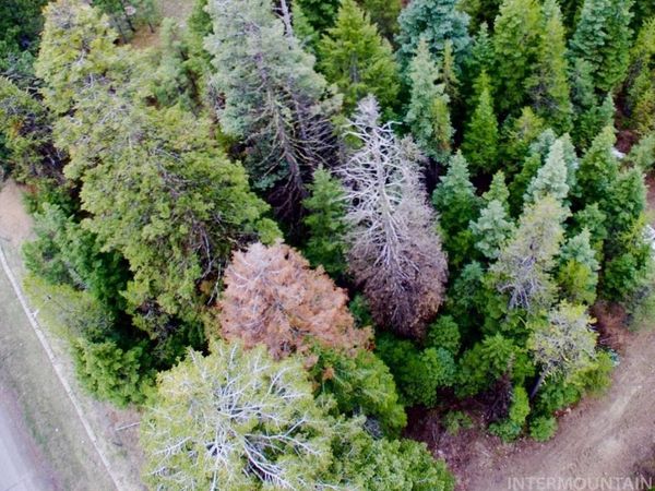 TBD Boydstun St, McCall, ID 83638