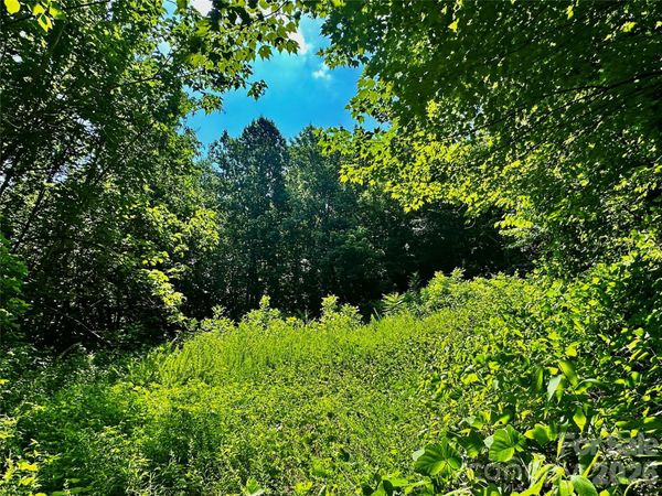 75 Fork Creek Road , Saluda, NC 28773