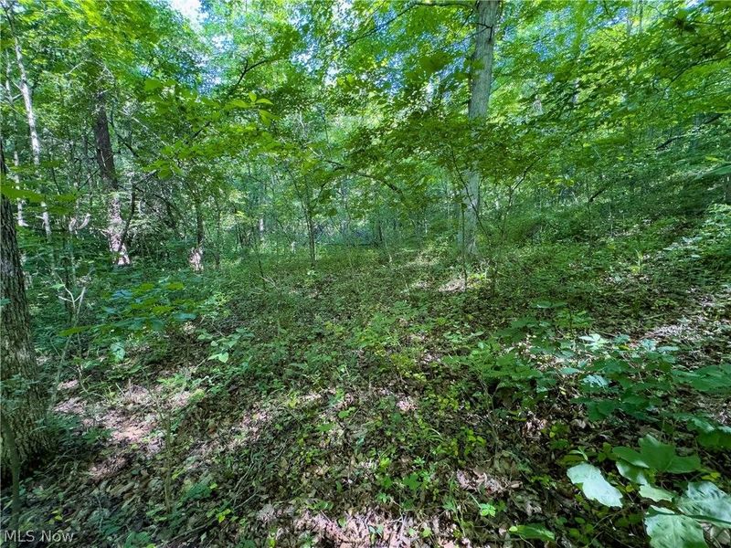 0 Jake Road, Patriot, OH 45658 Photo 5
