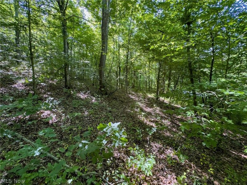 0 Jake Road, Patriot, OH 45658 Photo 6