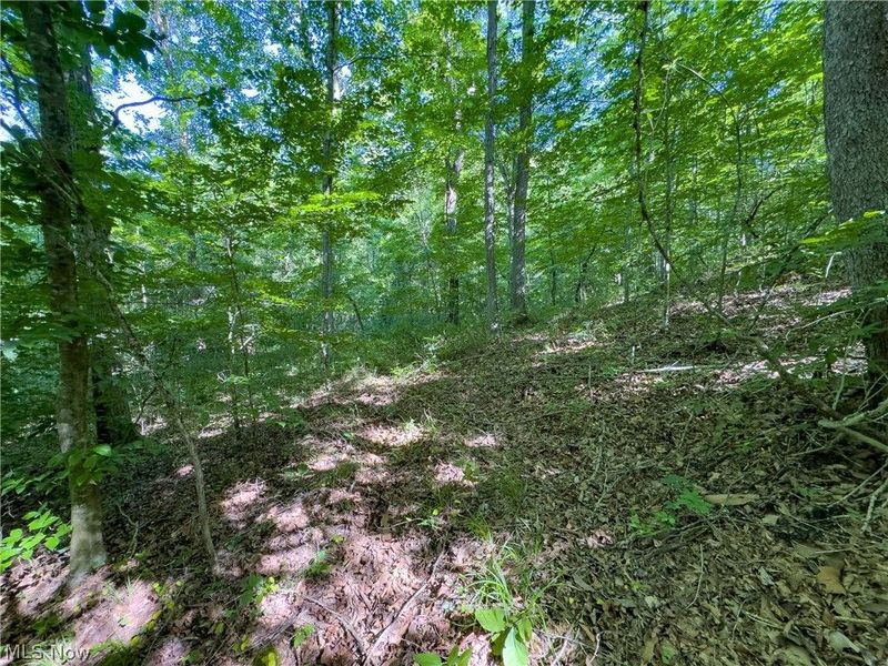 0 Jake Road, Patriot, OH 45658 Photo 7