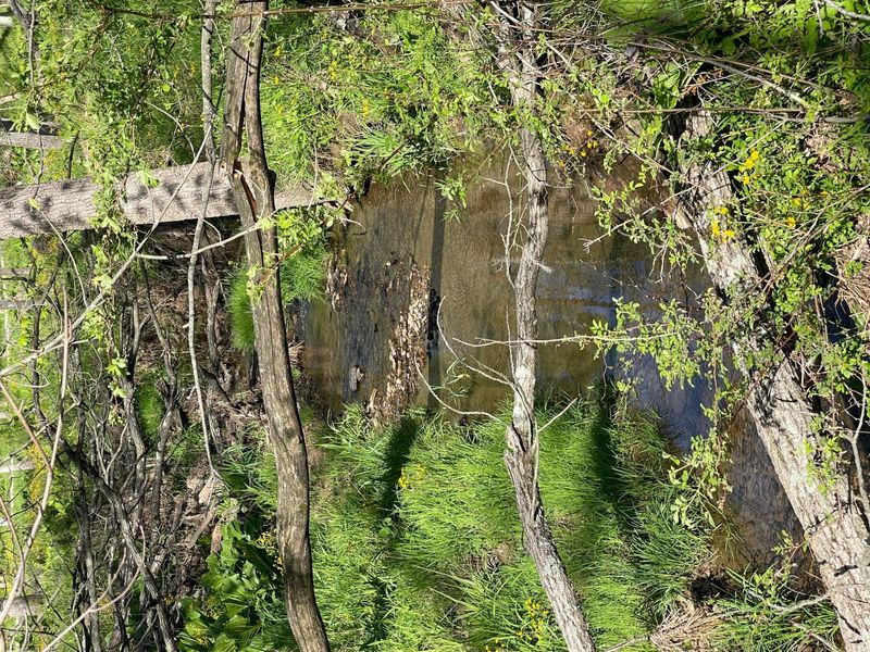 0 Monroe Mills Road , Mount Vernon, OH 43050 Photo 14