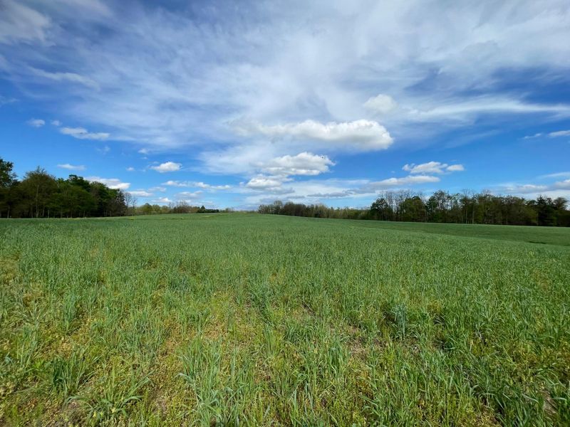 0 Monroe Mills Road , Mount Vernon, OH 43050 Photo 18