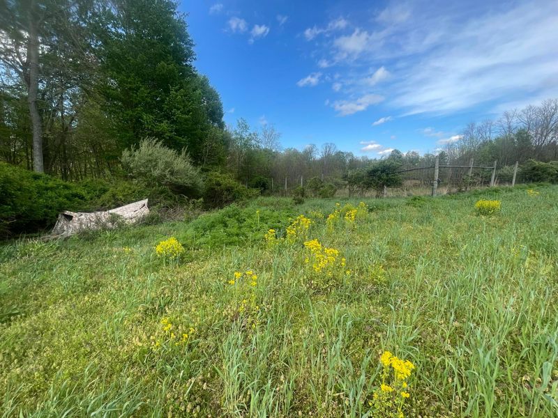 0 Monroe Mills Road , Mount Vernon, OH 43050 Photo 20