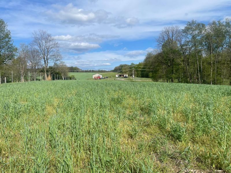 0 Monroe Mills Road , Mount Vernon, OH 43050 Photo 21