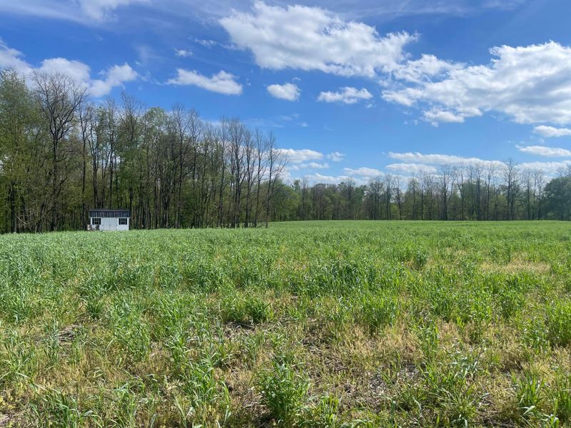 0 Monroe Mills Road , Mount Vernon, OH 43050 Photo 22