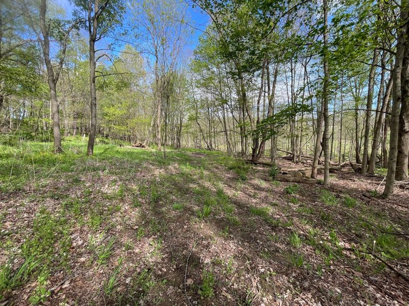 0 Monroe Mills Road , Mount Vernon, OH 43050 Photo 6