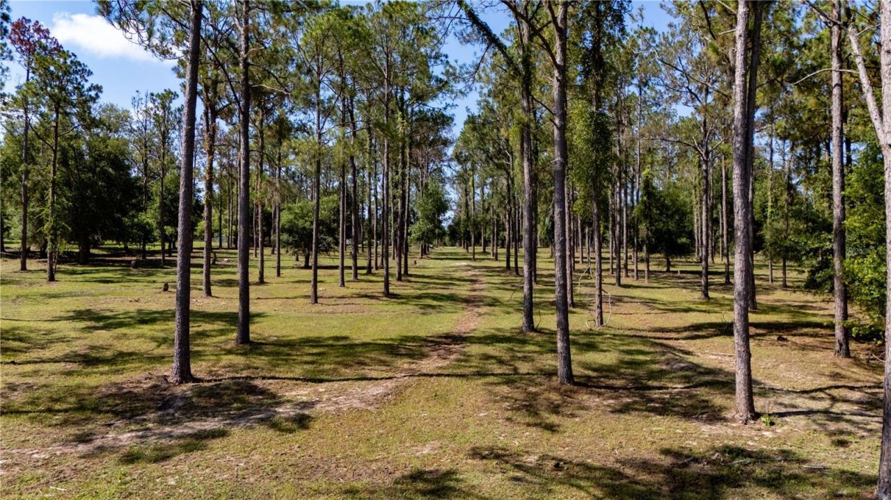 0 Reed Road , Dade City, FL 33523 Photo