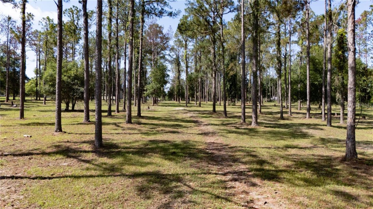 0 Reed Road , Dade City, FL 33523 Photo