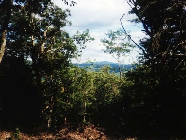 Lot 4B-29-2 Joslin Road, Surry, NH 03431