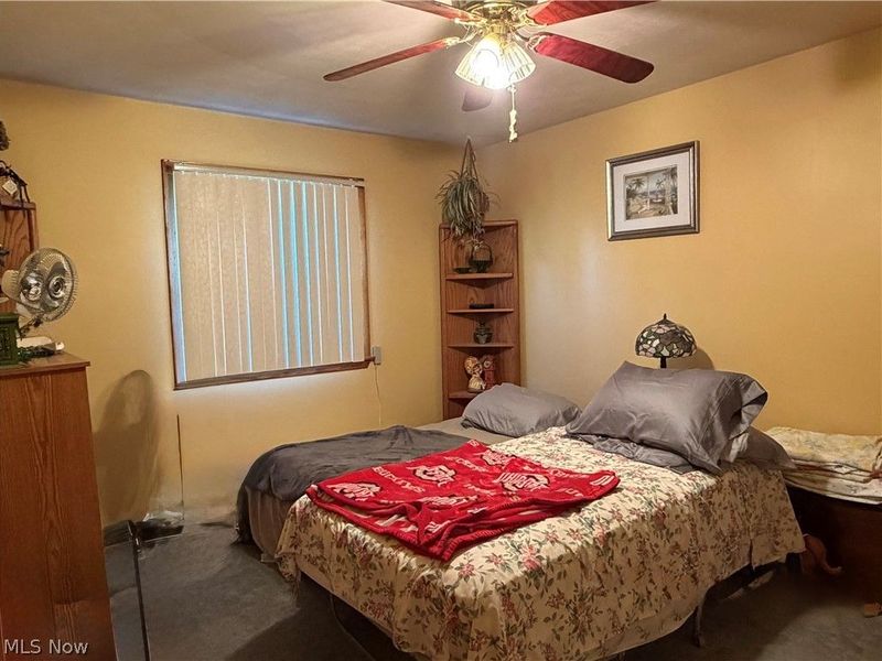7219 Wilson Sharpsville Road, Hartford, OH 44404 Photo 14