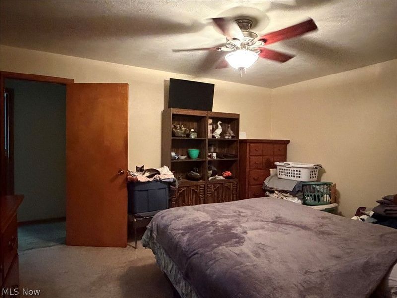 7219 Wilson Sharpsville Road, Hartford, OH 44404 Photo 15
