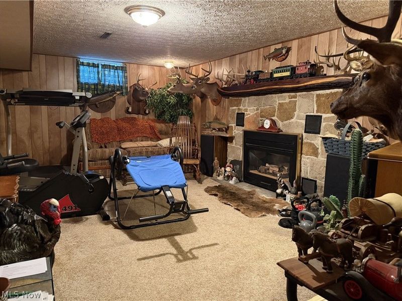 7219 Wilson Sharpsville Road, Hartford, OH 44404 Photo 17