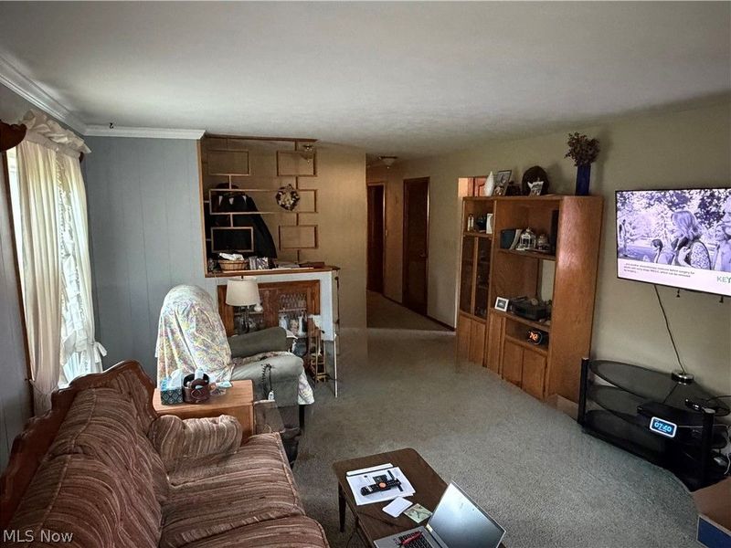 7219 Wilson Sharpsville Road, Hartford, OH 44404 Photo 2