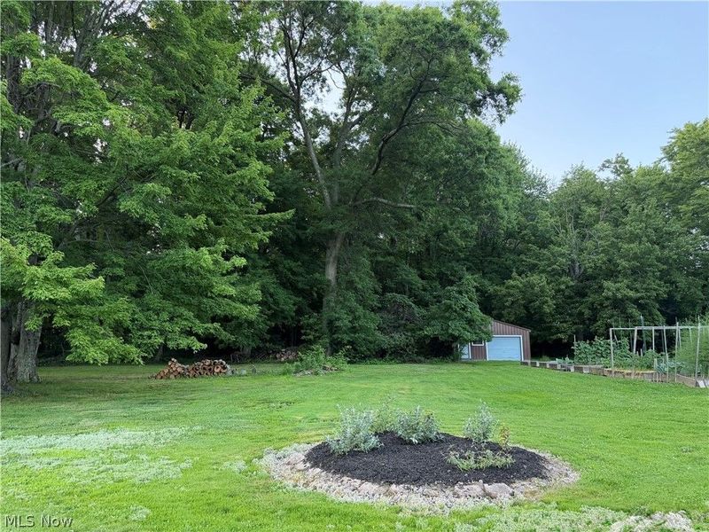 7219 Wilson Sharpsville Road, Hartford, OH 44404 Photo 25