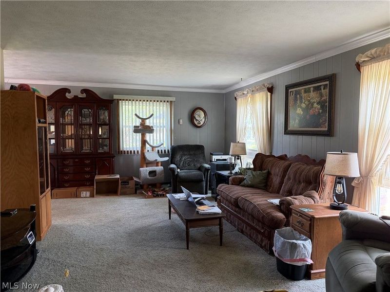 7219 Wilson Sharpsville Road, Hartford, OH 44404 Photo 3