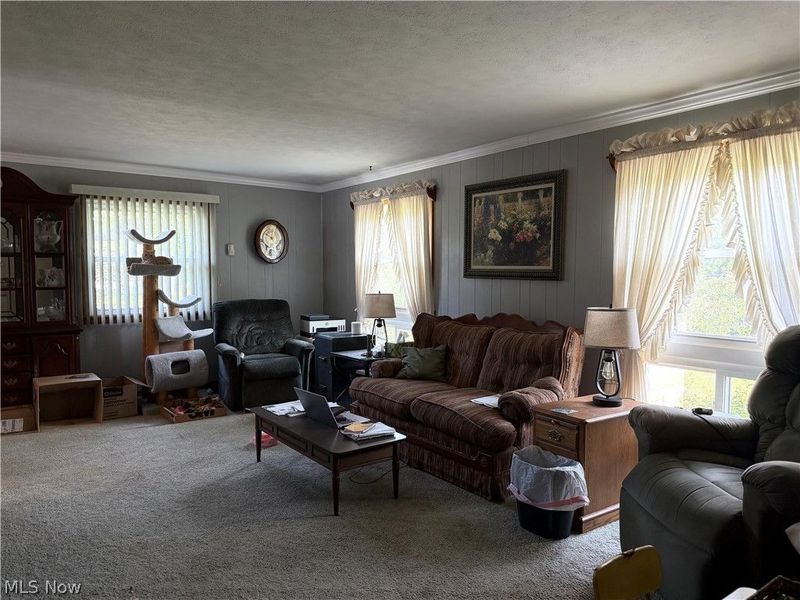 7219 Wilson Sharpsville Road, Hartford, OH 44404 Photo 4