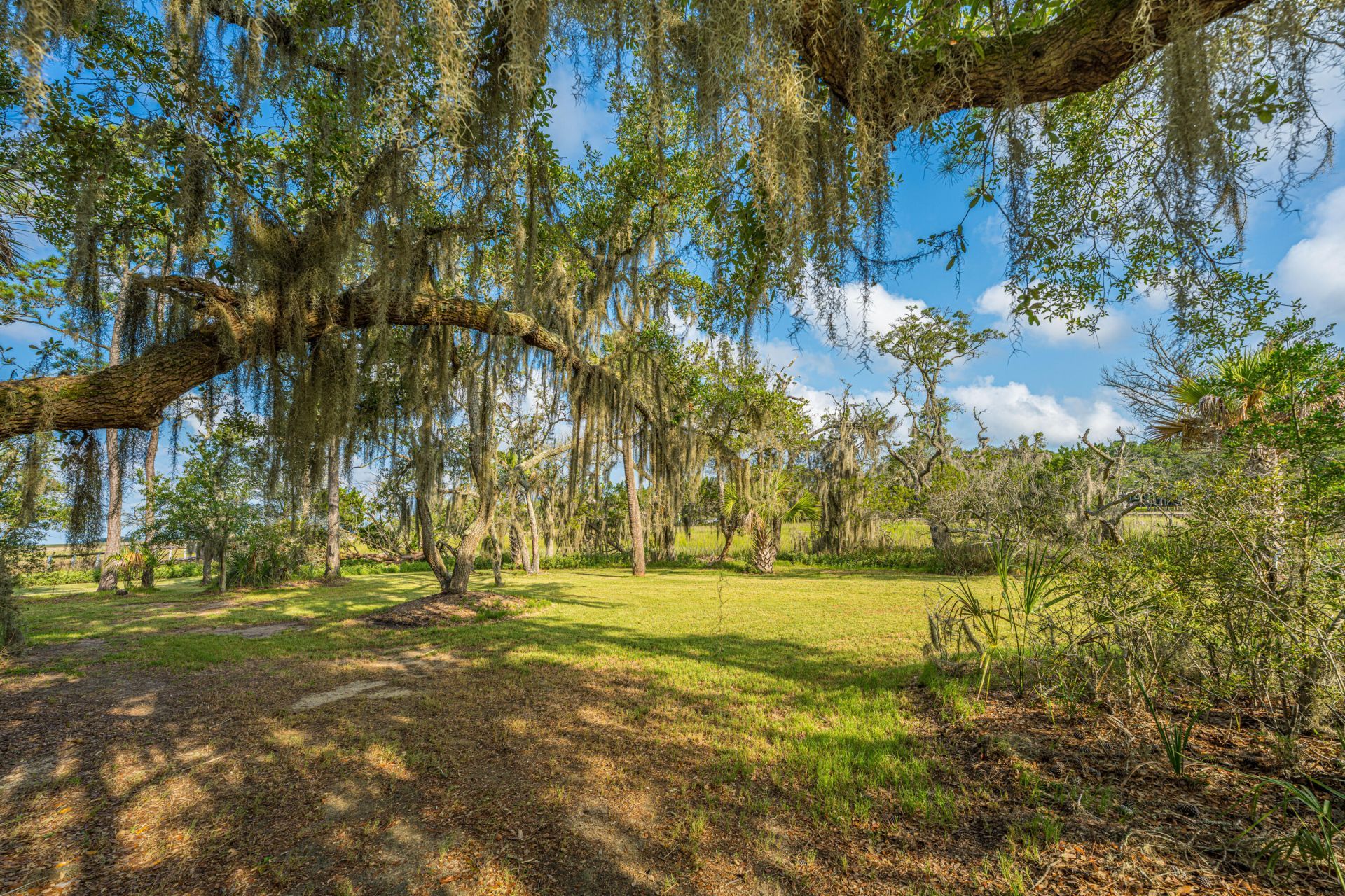 925 Edding Creek Drive Photo 14