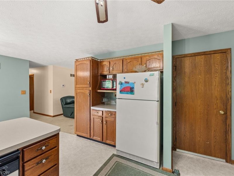 43891 Bursley Road, Wellington, OH 44090 Photo 23