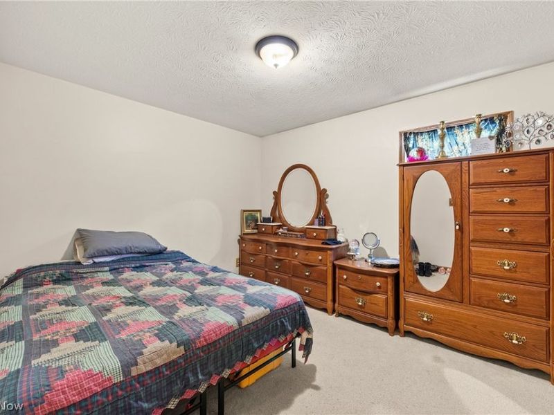 43891 Bursley Road, Wellington, OH 44090 Photo 27