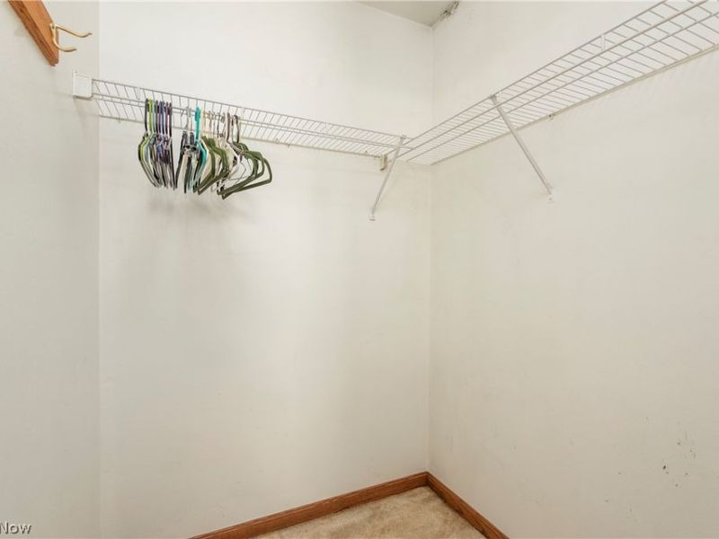 43891 Bursley Road, Wellington, OH 44090 Photo 34