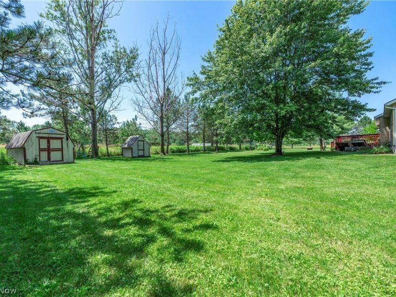 43891 Bursley Road, Wellington, OH 44090 Photo 40