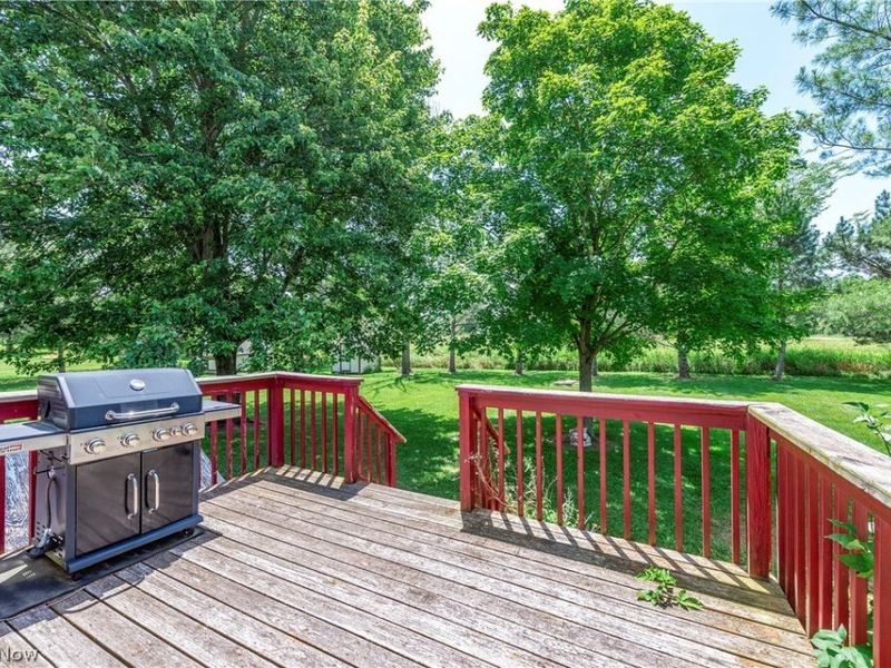 43891 Bursley Road, Wellington, OH 44090 Photo 44