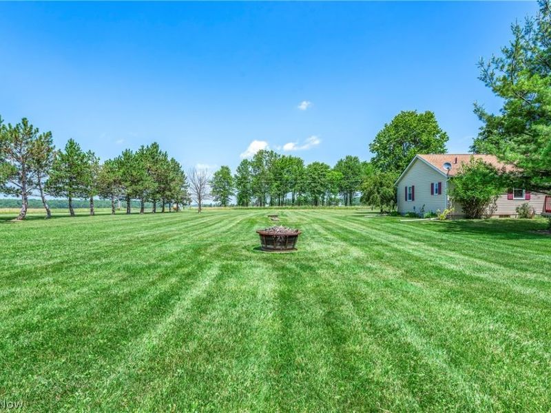 43891 Bursley Road, Wellington, OH 44090 Photo 45