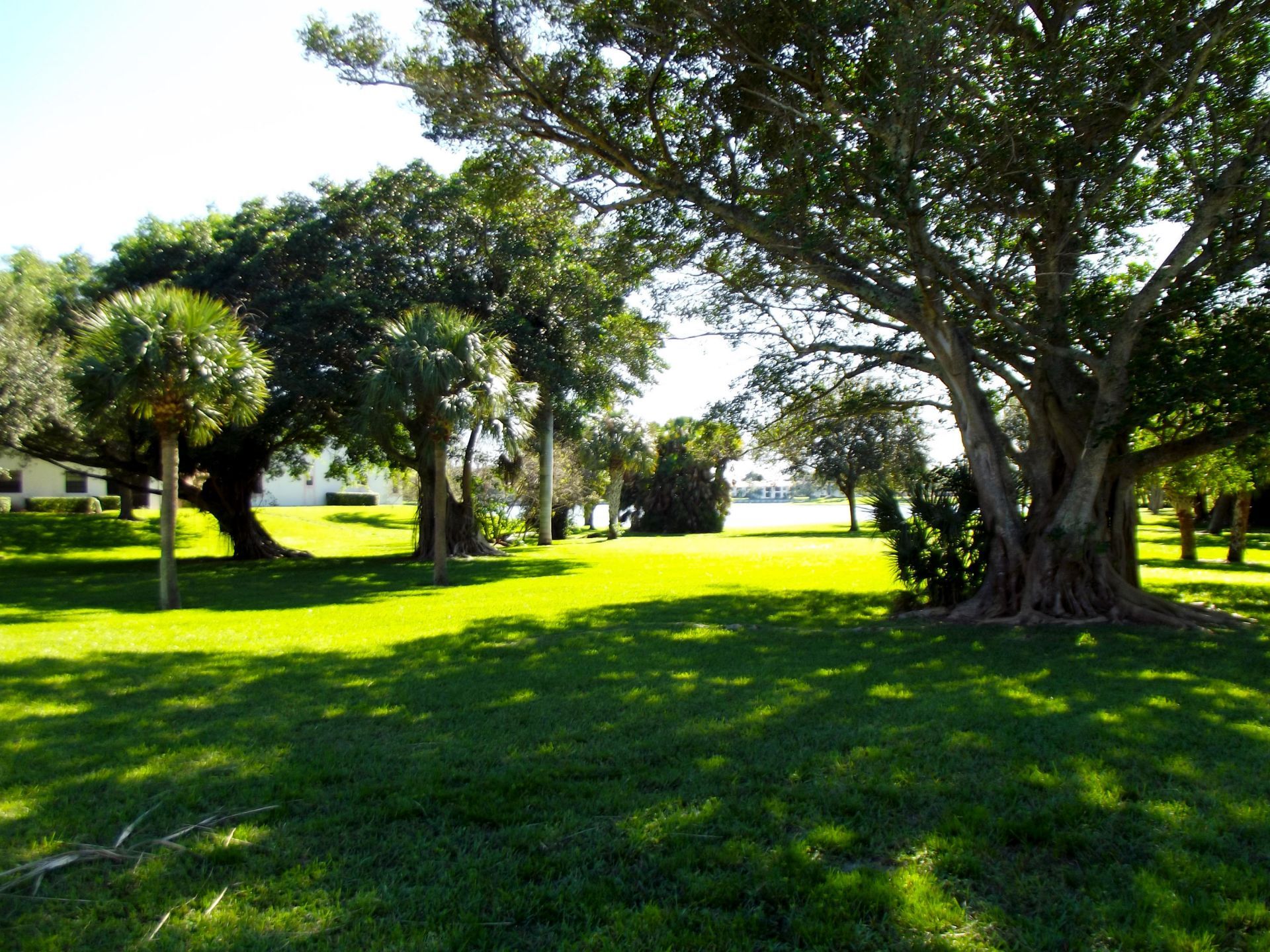 3355 Jaywood Terrace, Unit 2140, Boca Raton, FL 33431 Photo