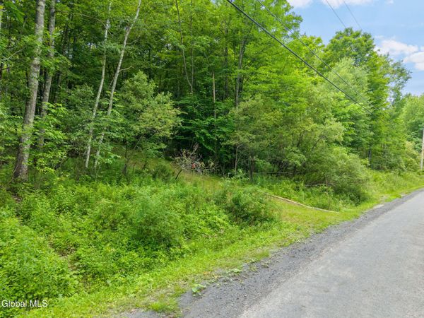 441 Dodge Lodge Road, Richmondville, NY 12149