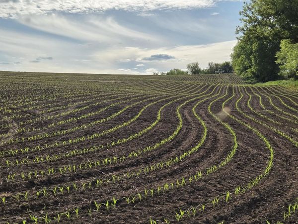 18.5 Ac County Road W Road, Hazel Green, WI 53811