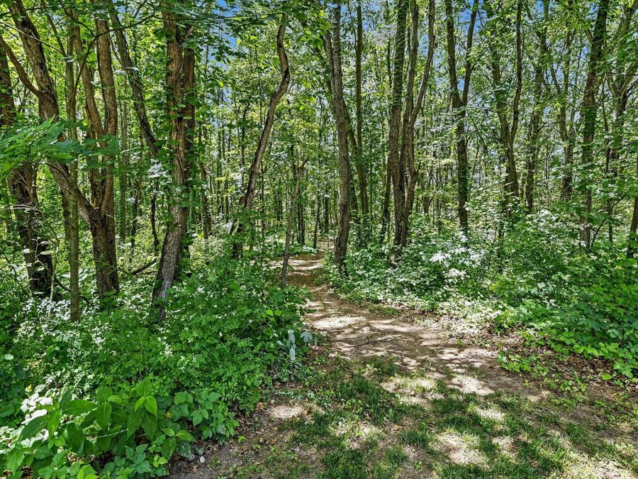 Property Image 33