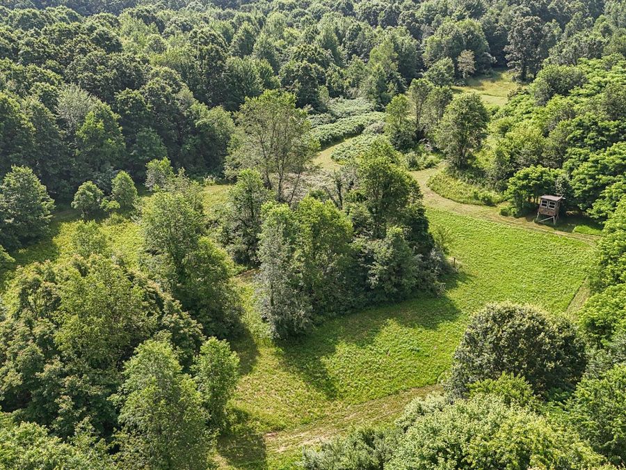 Property Image 40