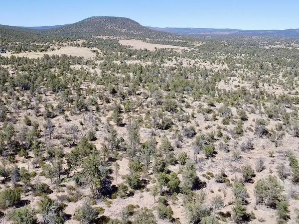 TBD N Ike Clark Parkway, Unit 2, Young, AZ 85554