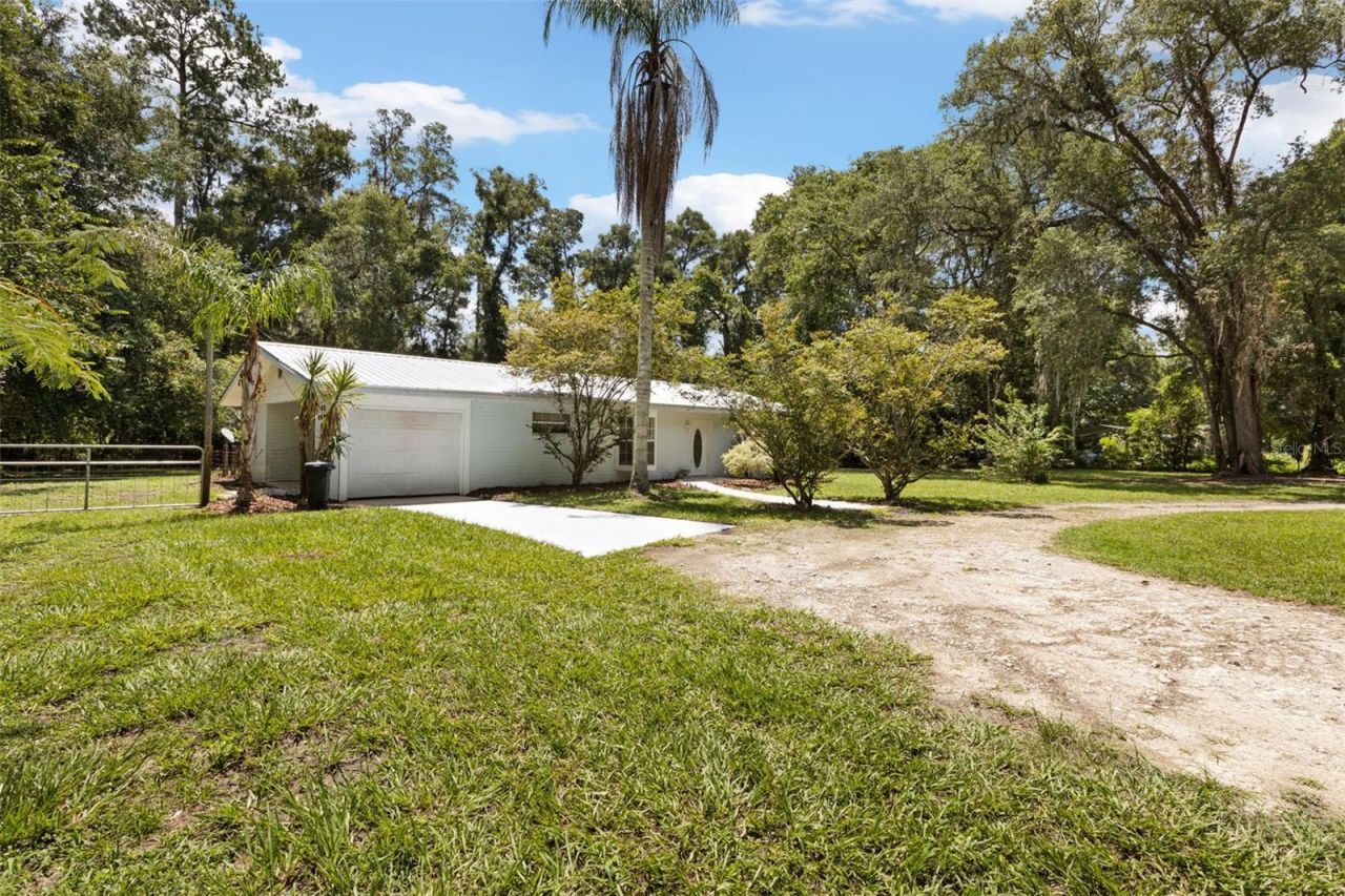 3151 NE 176th Terrace , Williston, FL 32696 Photo