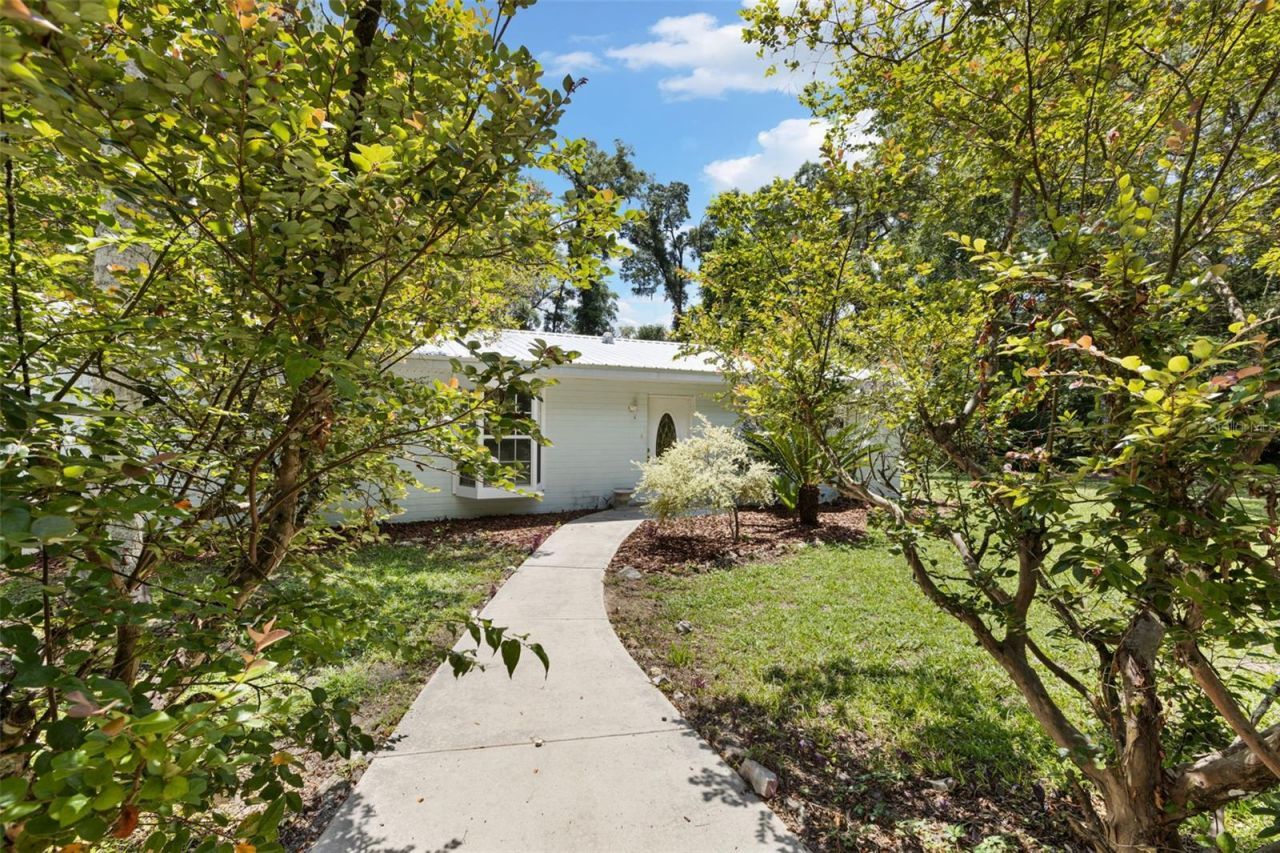 3151 NE 176th Terrace , Williston, FL 32696 Photo