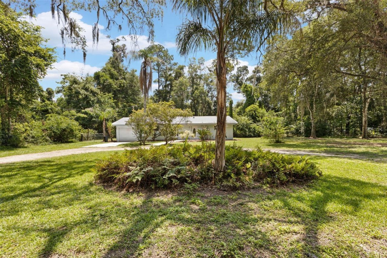 3151 NE 176th Terrace , Williston, FL 32696 Photo