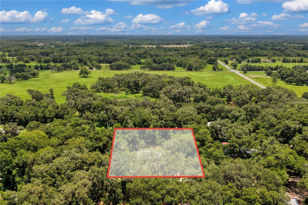 3151 NE 176th Terrace , Williston, FL 32696 Photo