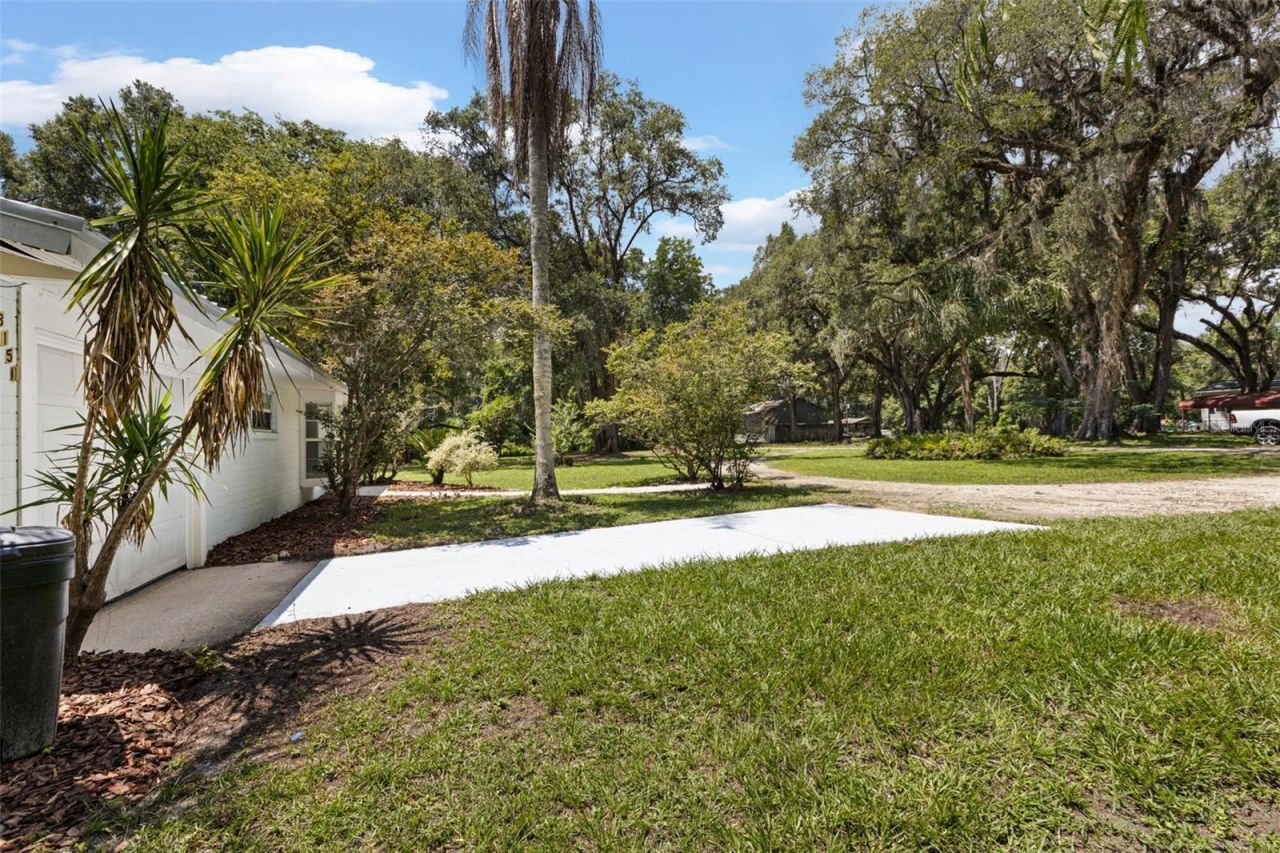 3151 NE 176th Terrace , Williston, FL 32696 Photo