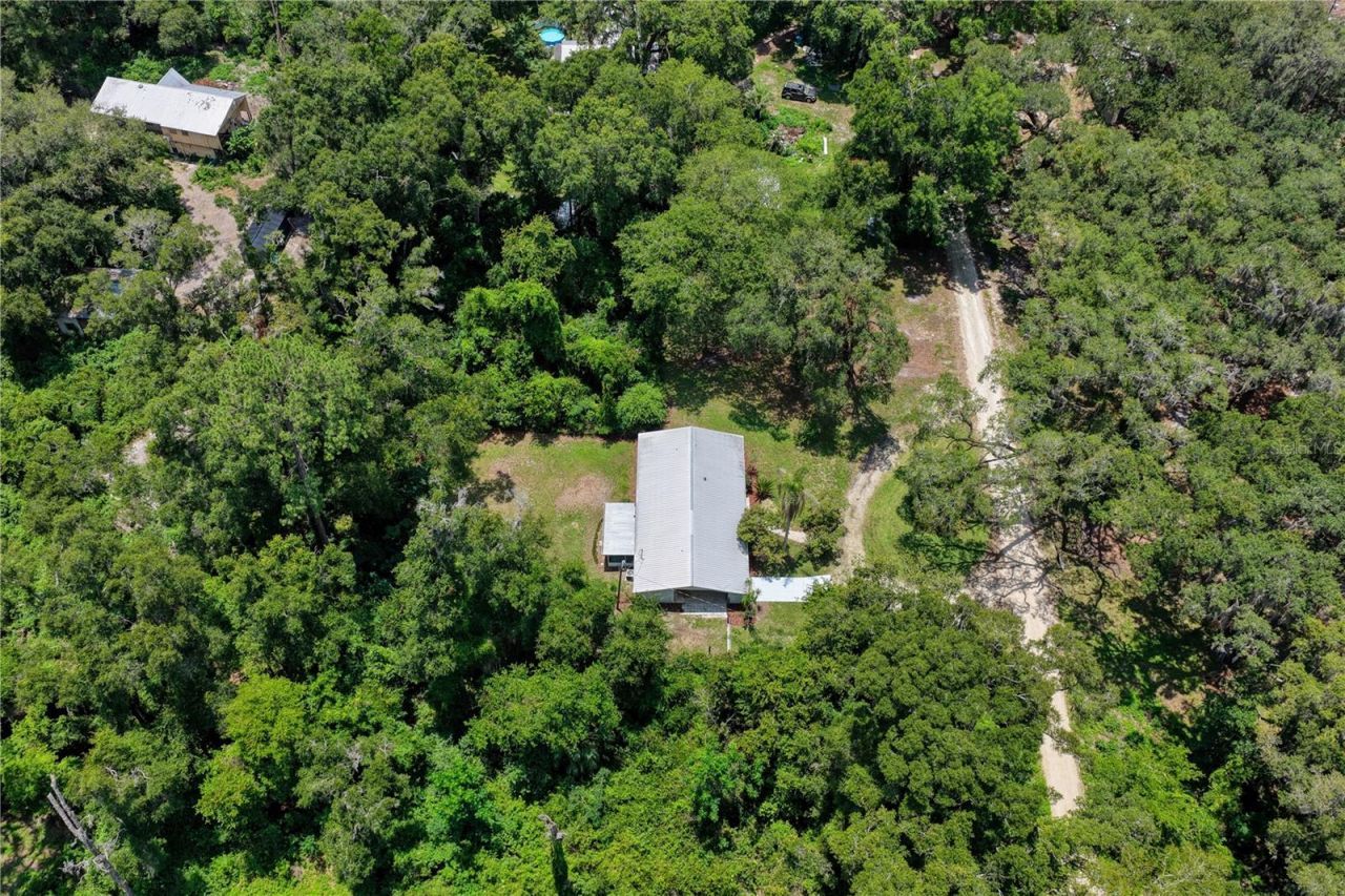 3151 NE 176th Terrace , Williston, FL 32696 Photo