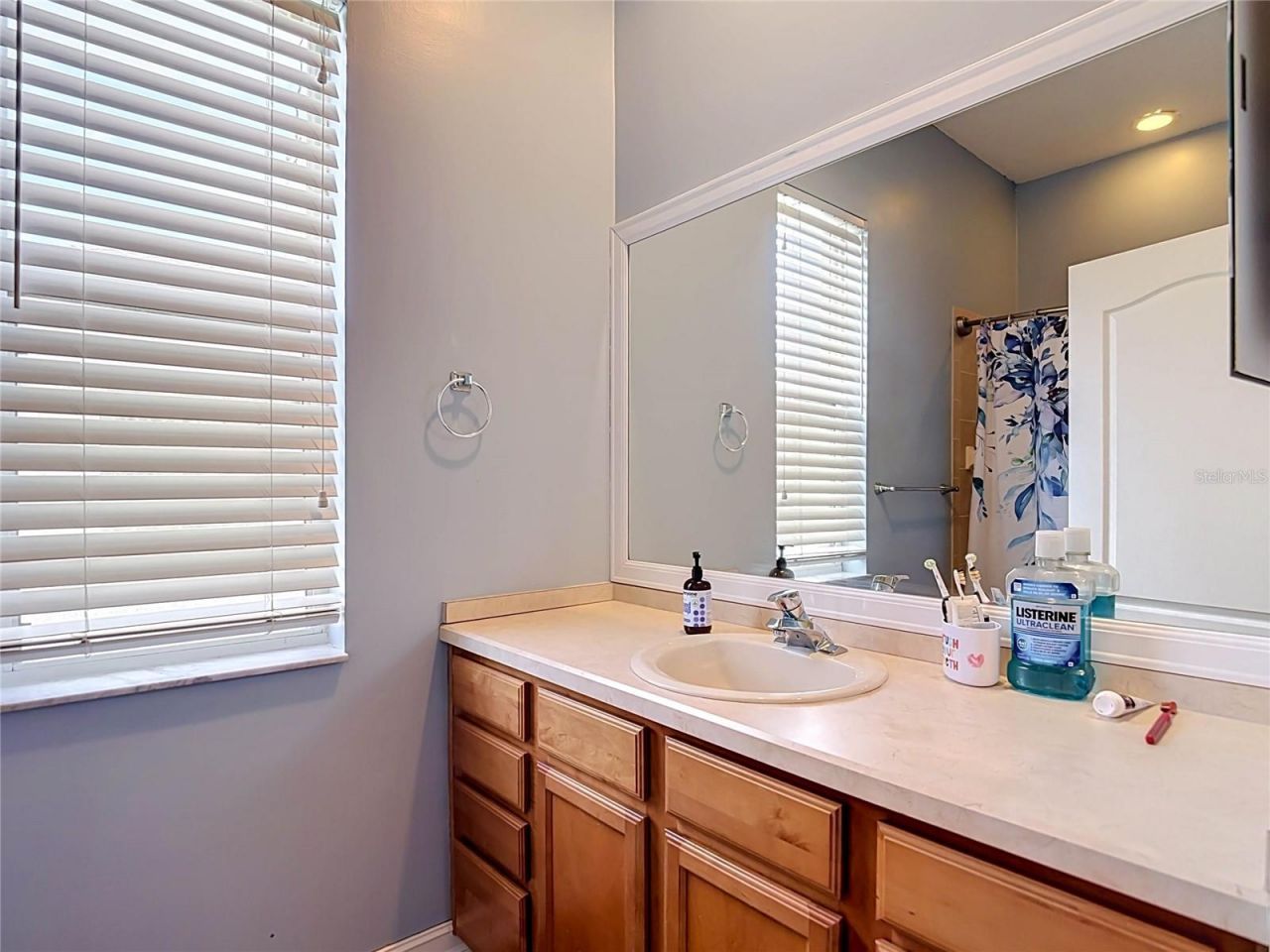 10512 Gooseberry Court , Trinity, FL 34655 Photo