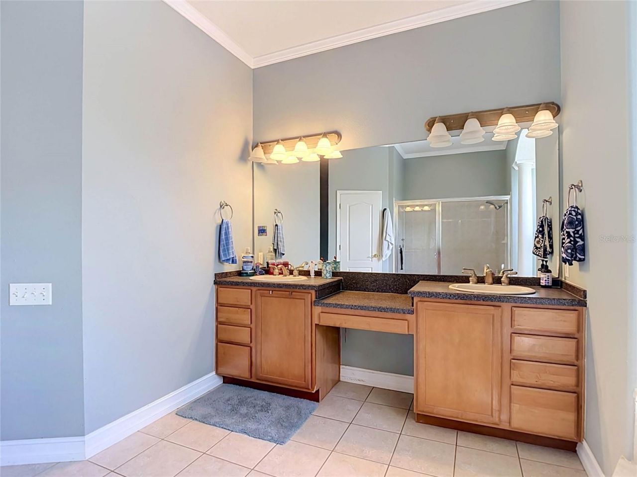 10512 Gooseberry Court , Trinity, FL 34655 Photo