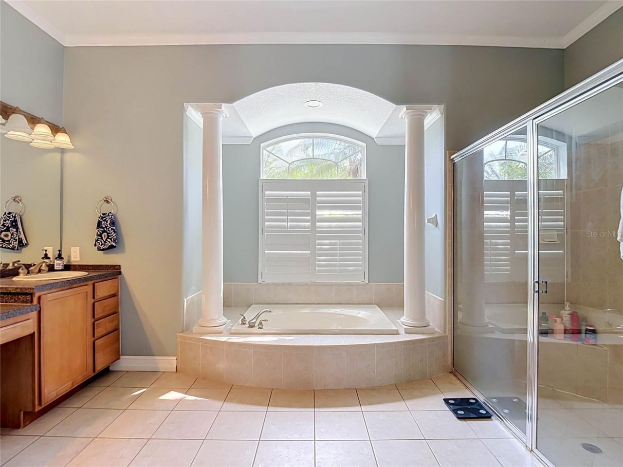 10512 Gooseberry Court , Trinity, FL 34655 Photo