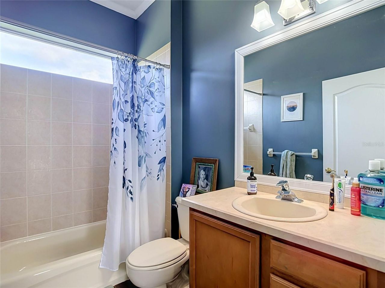 10512 Gooseberry Court , Trinity, FL 34655 Photo