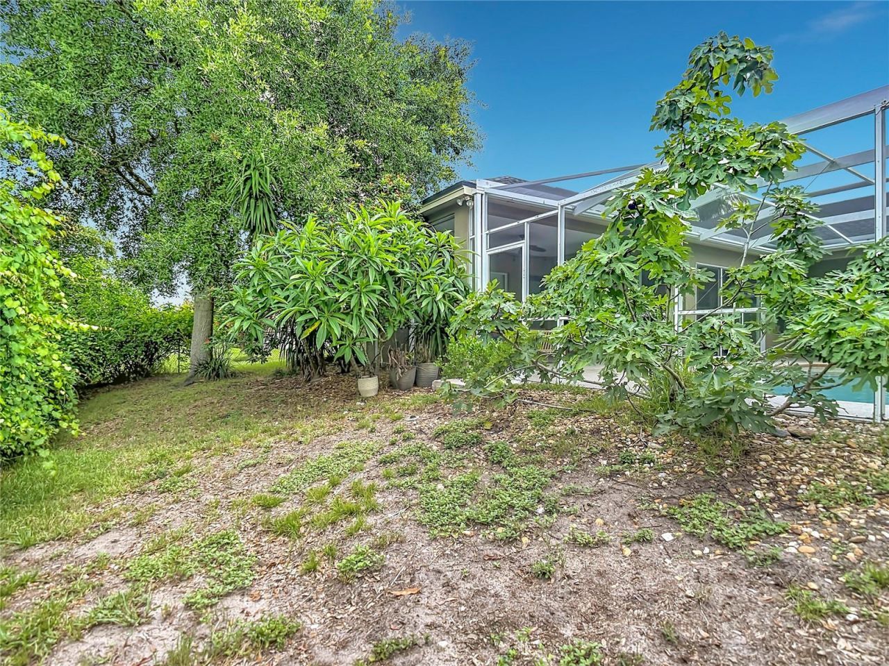 10512 Gooseberry Court , Trinity, FL 34655 Photo