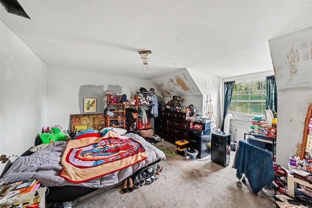 7041 Jasmin Drive , New Port Richey, FL 34652 Photo