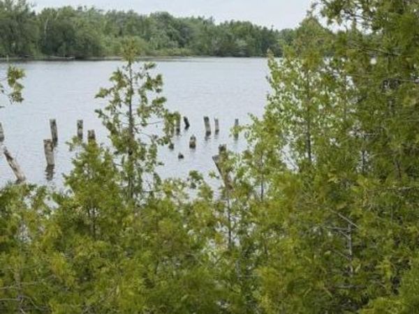 Moonlight Bay Road, Cheboygan, MI 49721