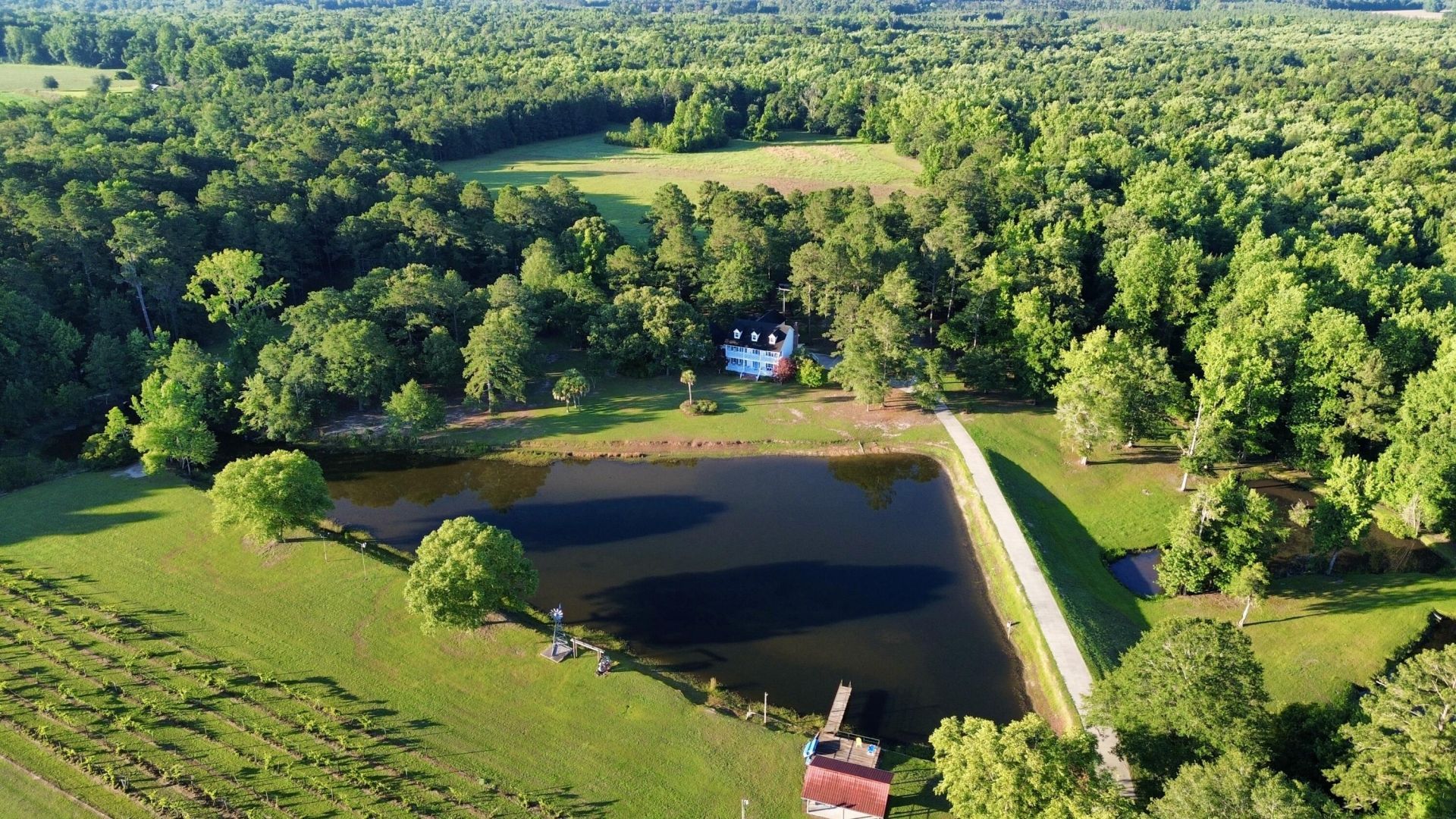 701 Truluck Vineyard Road Photo 11