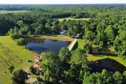 701 Truluck Vineyard Road photo 4